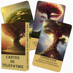 jeu de carte oracle de télépathie, cadeau anniversaire voyance